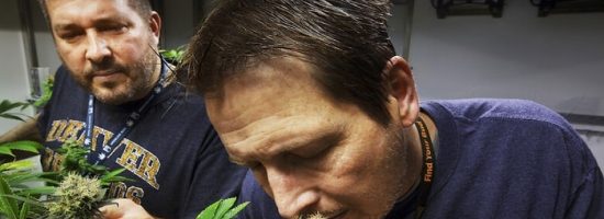 оборудование гроубокса,