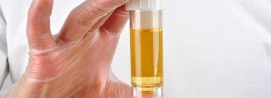 питание конопли,