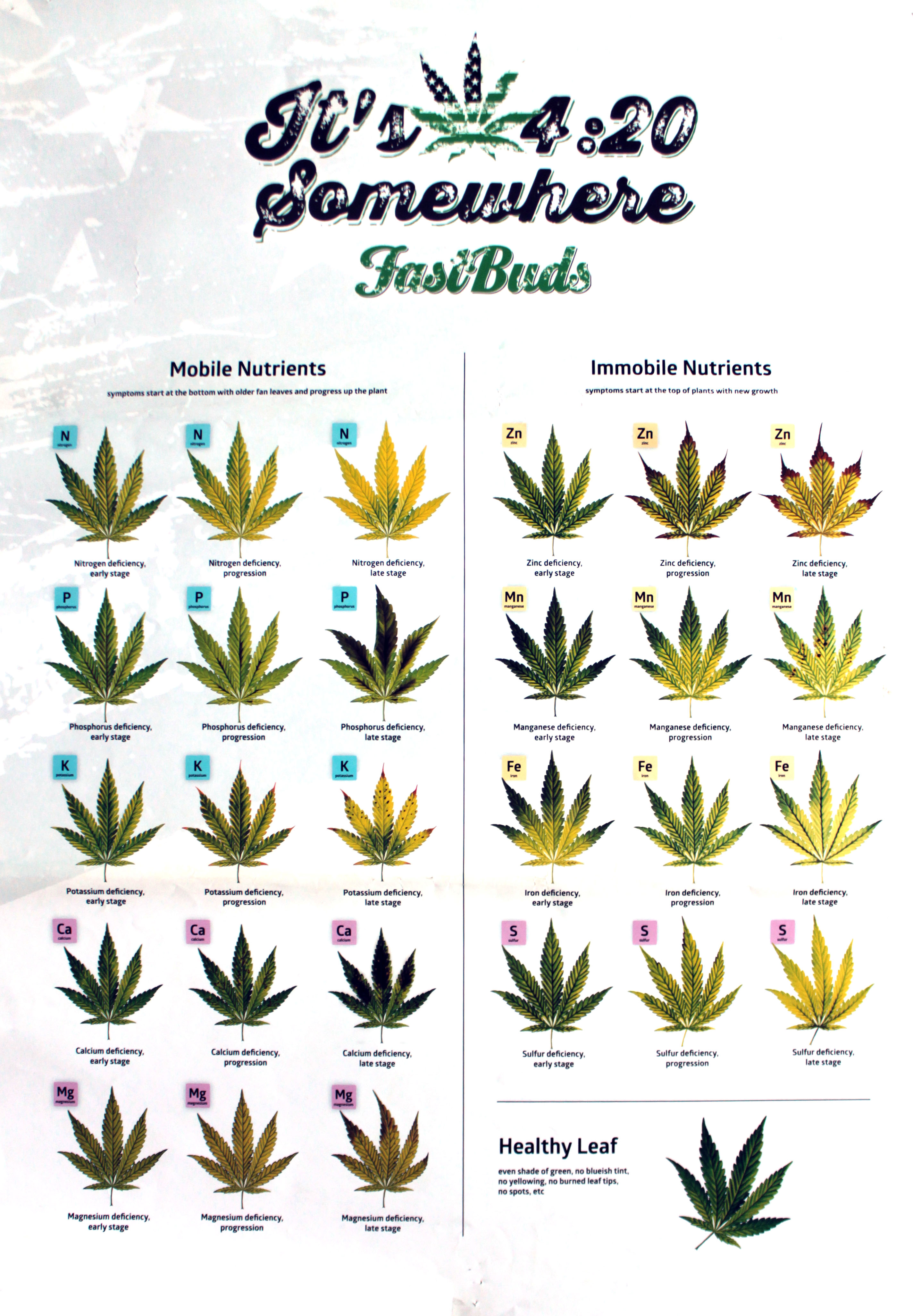 Питание для марихуаны как выглядит листок конопли