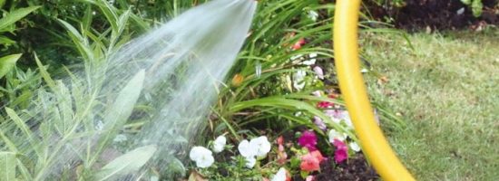 питание марихуаны,