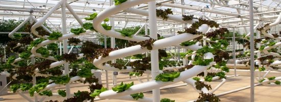 метод выращивания,