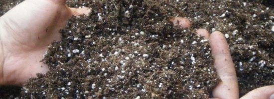 питание марихуаны,