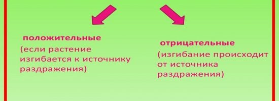 освещение гроубокса,