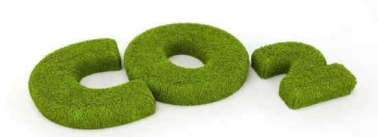 выращивание конопли,