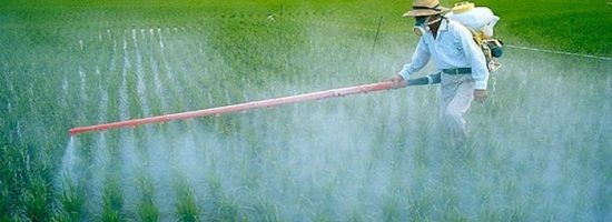 пестициды для конопли