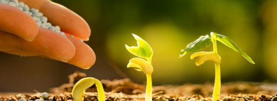 питание конопли,