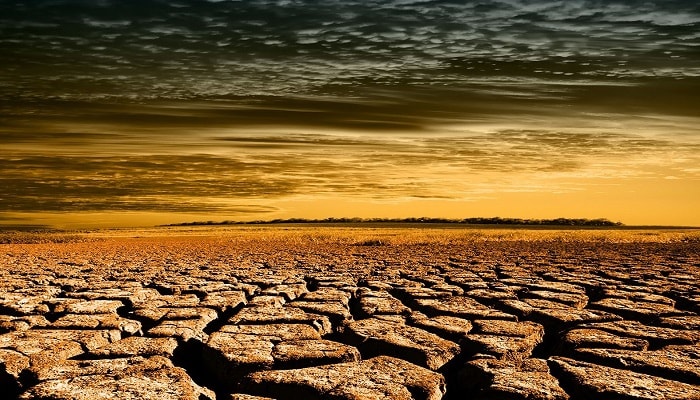 Засуха — больше не проблема
