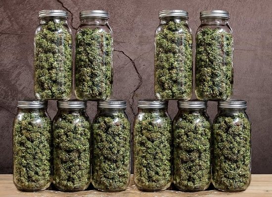 акции от Errors Seeds, скидки на семена конопли,