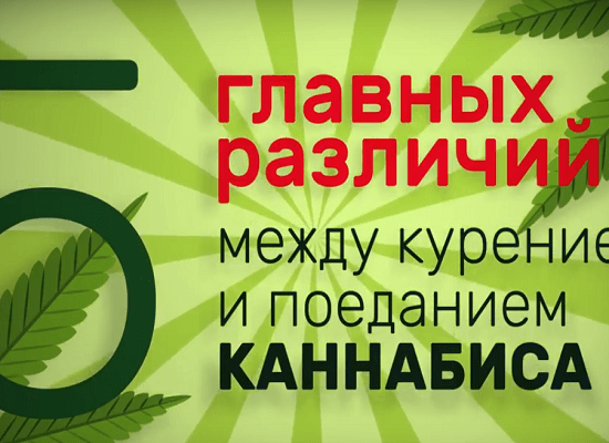 еда из конопли,