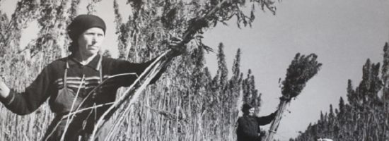 постоянная акция, Errors Seeds,