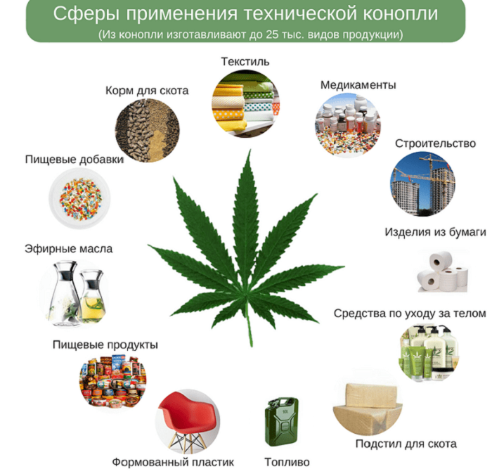 Применение марихуаны скачать через торрент тор браузер на русском бесплатно через торрент