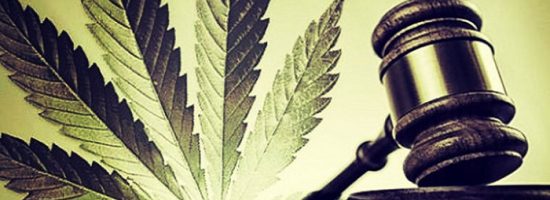 gumannaya-narcopolitika