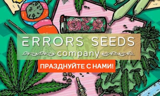 День рождения компании Error-seeds