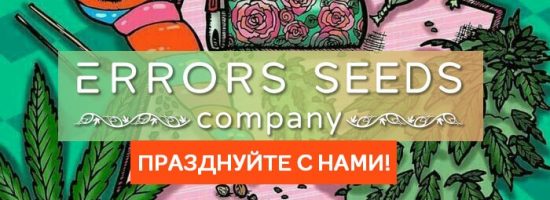 День рождения компании Error-seeds