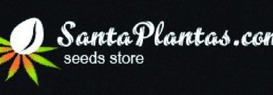 выращивание конопли, выращивание марихуаны, семена конопли, семена марихуаны, обзор, отзывы, семена конопли,