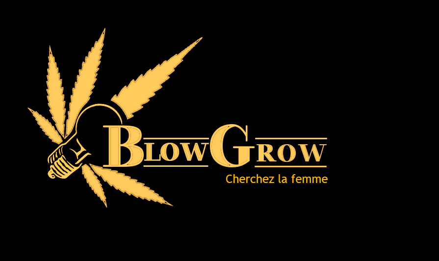 Обзор интернет-магазина семян марихуаны «Blowgrow»