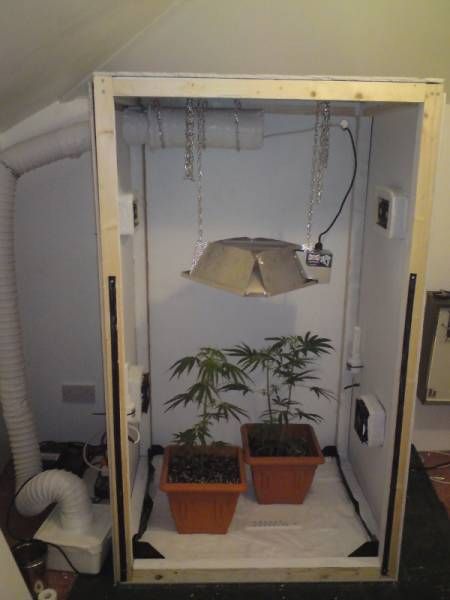 Купить шкаф для выращивания марихуаны прага марихуана где купить
