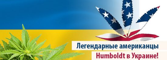 humboldt seed organization, humboldt seeds,, errors seeds, cbd, кбд, тгк, thc, сорта конопли, сортовая марихуана, конопля, каннабис, купить семена конопли, weed, strains, marijuana, 420 time, seed bank,
