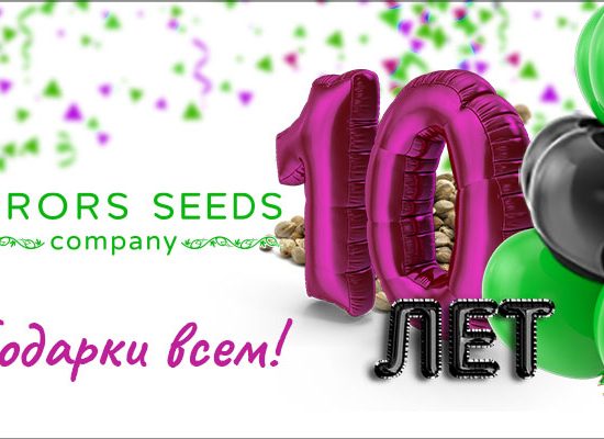 розыгрыш, юбилей, подарки, подарок, эрор сидс, дарим подарки, errors seeds, ero seed, erors seeds, company,