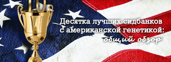 Десятка лучших сидбанков с американской генетикой: общий обзор