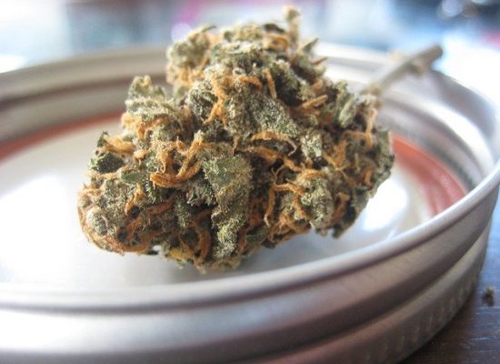 Топ-10 лучших американских сортов марихуаны