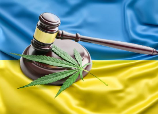 Закон Украины про семена конопли, который должен знать каждый гровер.