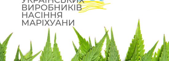 ТОП 5 українських виробників насіння маріхуани