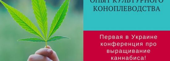 Европейский опыт культурного коноплеводства