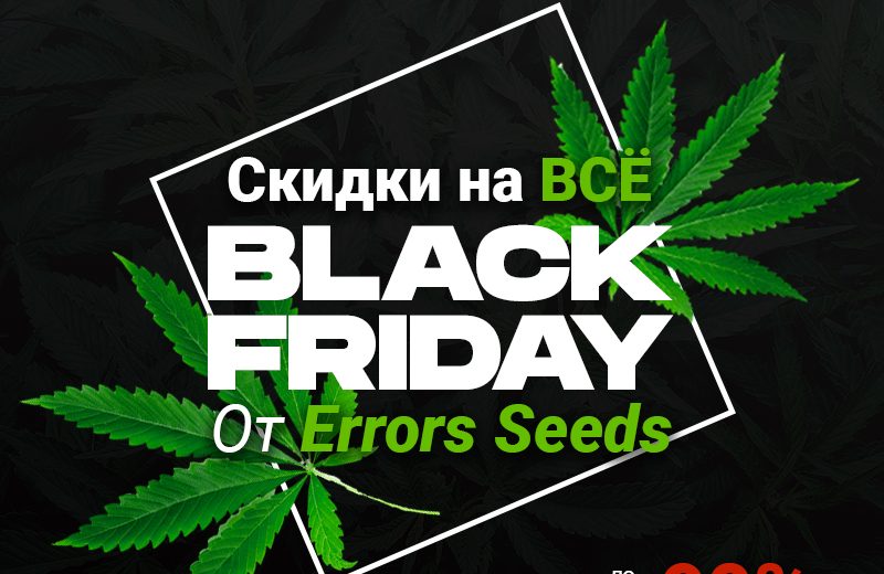 BLACK FRIDAY от Errors Seeds