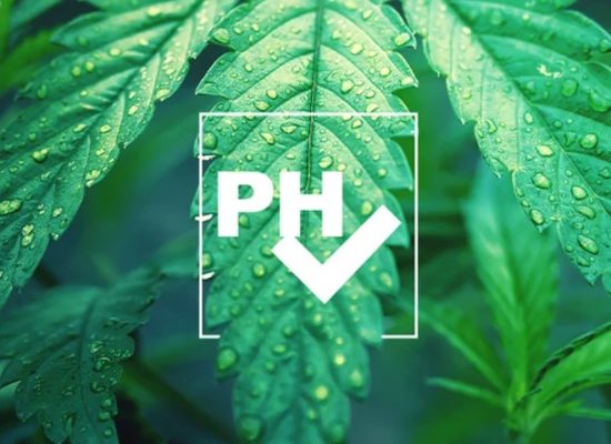 уровни-ph-для-гровинга-каннабиса