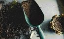 Как правильно создать суперпочву для каннабиса: секреты микробиологии