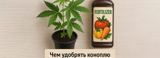 удобрения конопли для домашнего ухода