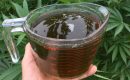 Чай из компоста и ферментированные настои: природные бустеры для роста марихуаны
