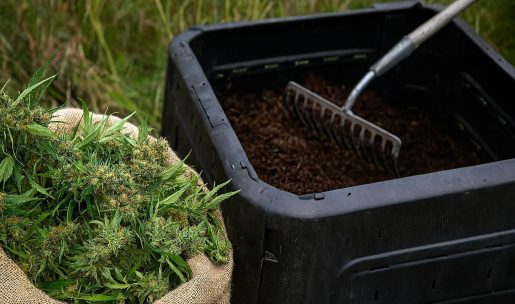 удобрение для каннабиса