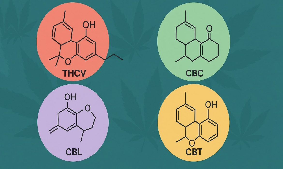 Редкие каннабиноиды, о которых почти никто не знает