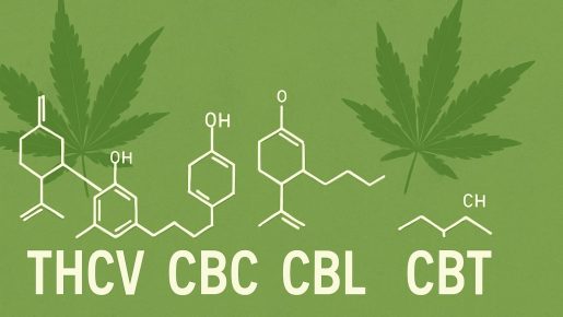 аннабиноиды марихуаны