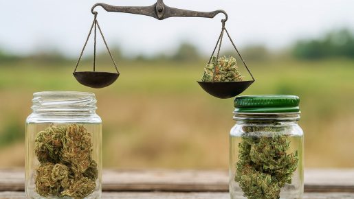 ландрейсы марихуаны